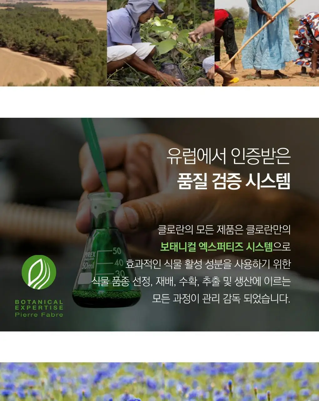 [두피활력 & 모발강화] 클로란 퀴닌 에델바이스 샴푸 더블 기획 (400ml 2입기획) 상세페이지 25